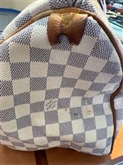 LOUIS VUITTON BAG - VARIETY